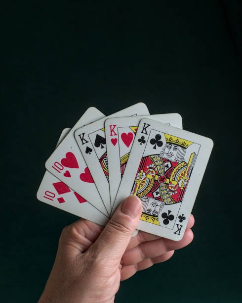 bandartoto66 Bingo Halls